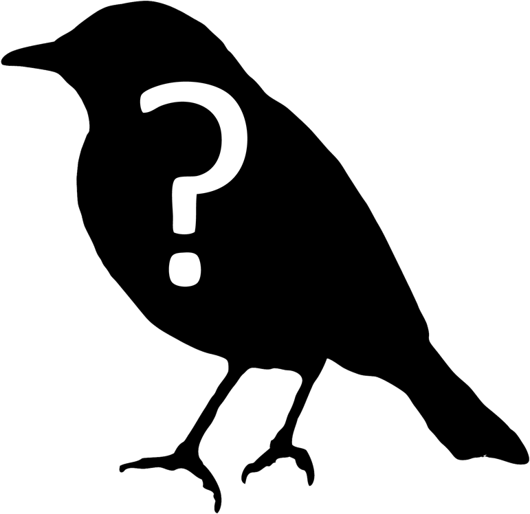 some bird